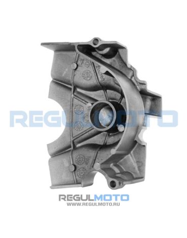 Крышка левого картера (ведущей звезды) ZS167FMM, Senke 250GY 5 