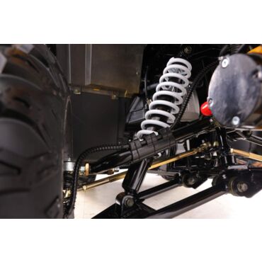 Квадроцикл Motoland  VOX250 WILD TRACK X PLUS - миниатюра 24