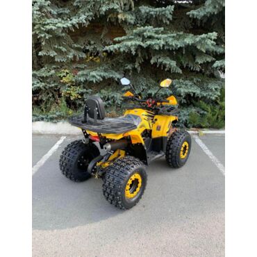 Квадроцикл Rmoto Lion 125 AR - миниатюра 8