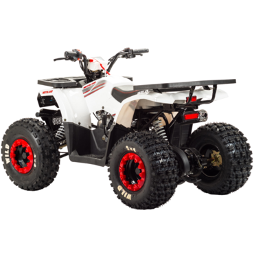 Квадроцикл Motoland WILD 125 - миниатюра 4