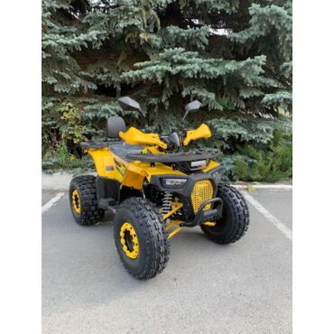 Квадроцикл Rmoto Lion 125 AR - миниатюра 9