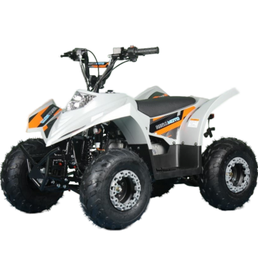 Квадроцикл Regulmoto SK11 - миниатюра 4