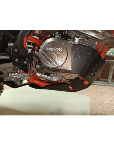 Защита двигателя Regulmoto Holeshot 300 (ZS172MN 5)