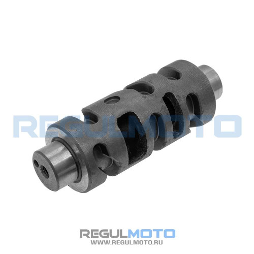 OEM 100203840