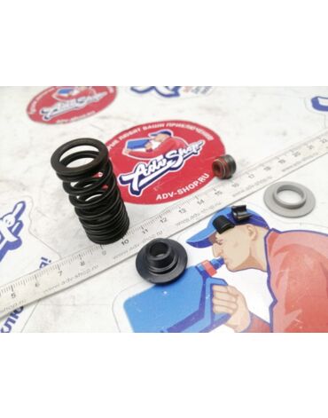 KTM VALVE SPRING KIT комплект клапанной пружины с тарелками 350 EXCF 12 16 / Freeride ( 77536028044 )