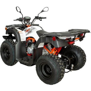 Квадрицикл KAYO AU150 CVT (белый пластик 2024 г.) (ПТС) - миниатюра 5
