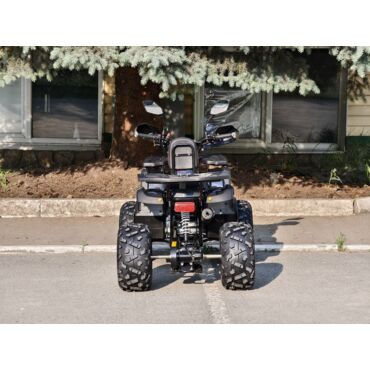 Квадроцикл Rmoto Lion 125 СС - миниатюра 31