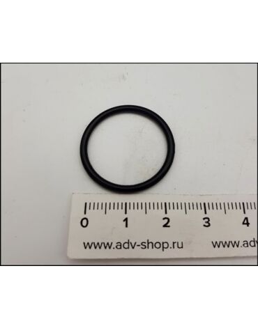 KTM O ring 21*2 уплотнитель малый (нижней пробки) ( 46811499 )