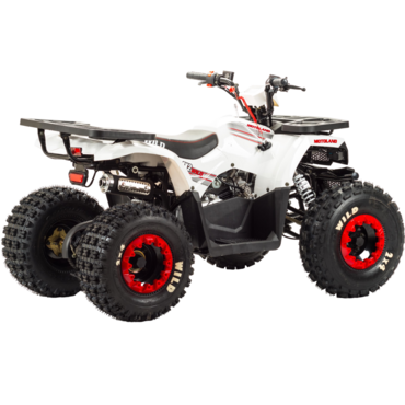 Квадроцикл Motoland WILD 125 - миниатюра 5