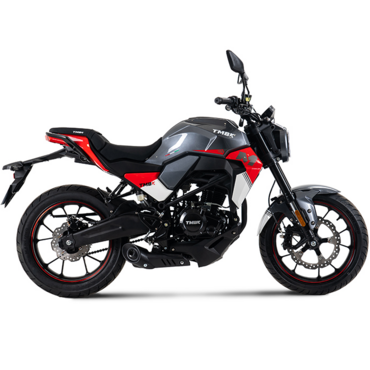 Дорожный мотоцикл TMBK  MONTANA 250 NG (172 FMM) - миниатюра 4