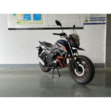 Мотоцикл ROLIZ CYREX ZS165FML 200cc с ПТС - миниатюра 12