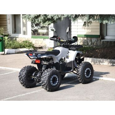 Квадроцикл Rmoto Lion 125 AА - миниатюра 16