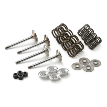 Комплект клапанов ГРМ с пружинами KTM 450SX F 12 18 / Husqvarna FC450 14 18 OEM 78936030110 - миниатюра 2