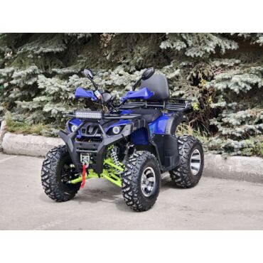 Квадроцикл Rmoto Lion 200 X PRO - миниатюра 25