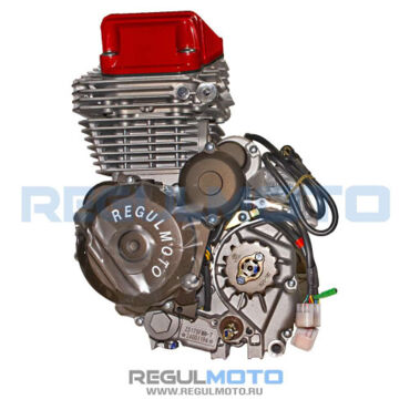Двигатель ZS175FMM 7 (CB300RL) 4 клапана, балансировочный вал, 300сс, поршень 75мм,  6 Gear  - миниатюра 1