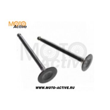 Клапаны (компл. 2шт) 152FMH 110см3 - миниатюра 1