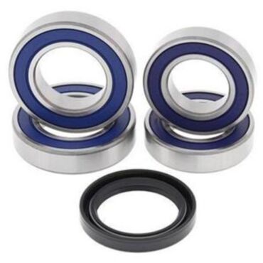 Комплект подшипников и сальников заднего колеса All Balls под мотоцикл Ducati 749 04 06 - миниатюра 1