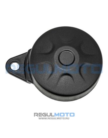 Крышка боковая крепления двигателя Longjia XDV 300 