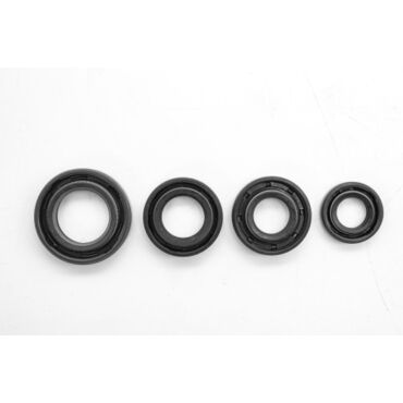 сальники комплект 4Т 172FMM (CB250D F) - миниатюра 2