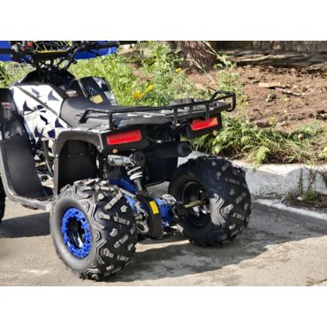 Квадроцикл Rmoto Lion 125 RR - миниатюра 27