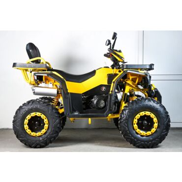 Квадроцикл SPRMOTORS ATV Extreme- 250DQ - миниатюра 7