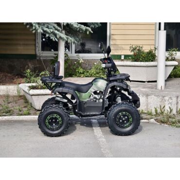Квадроцикл Rmoto Lion 125 СС - миниатюра 37