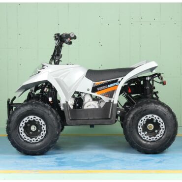 Квадроцикл Regulmoto SK11 - миниатюра 5