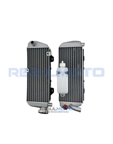 Радиатор охлаждения ДВС Regulmoto Nibbi N300 S NB300 