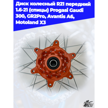 диск колесный R21 передний 1.6 21 (спицы) Progasi Gaudi 300, GR2Pro, Avantis A6, Motoland X3 - миниатюра 4