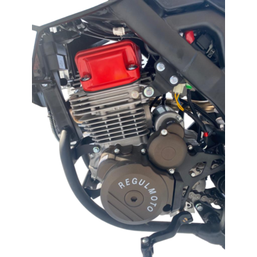 Мотоцикл Regulmoto ZR PR 300 4 valves 5 gear - миниатюра 4