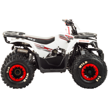 Квадроцикл Motoland WILD 125 - миниатюра 6