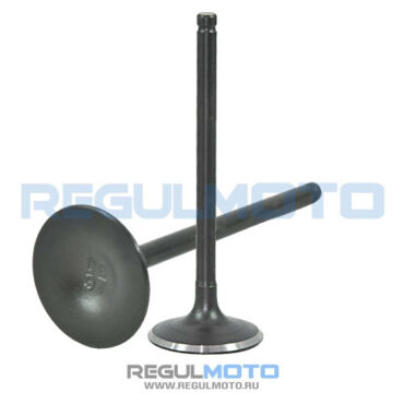 Клапан впускной ZS172FMM 3A, PR250  - миниатюра 1