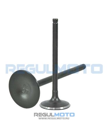 Клапан впускной ZS172FMM 3A, PR250 