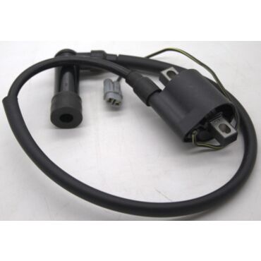 Катушка зажигания CB250 ZS172FMM ZS177mm с колпачком - миниатюра 2