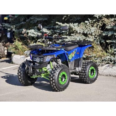 Квадроцикл Rmoto Lion 125 A LITE - миниатюра 20
