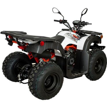 Квадрицикл KAYO AU150 CVT (белый пластик 2024 г.) (ПТС) - миниатюра 6
