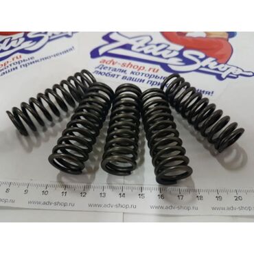 EBC Усиленные пружины сцепления XT660Z  Tenere 08 12 / XT660 04 09 ( CSK123 ) - миниатюра 1