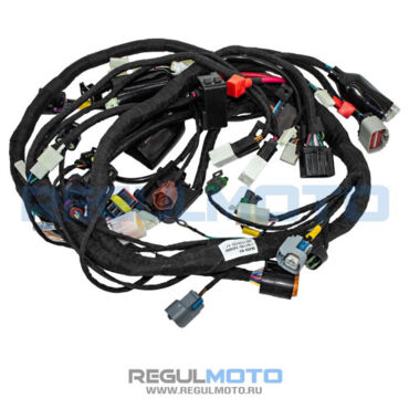 Жгут электропроводки Regulmoto Discovery  - миниатюра 1