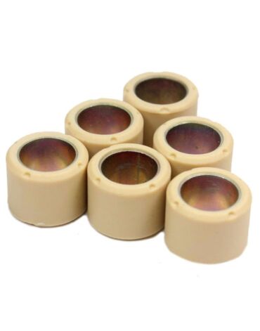 Ролики вариатора (компл. 6шт) 16x13 6,0гр
