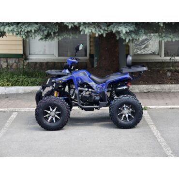 Квадроцикл Rmoto Lion 200 R - миниатюра 19