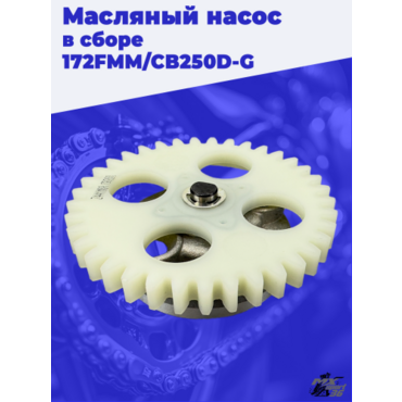 Масляный насос в сборе 172FMM CB250D G - миниатюра 2