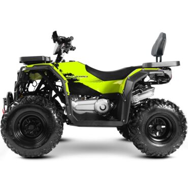 Квадроцикл Progasi Race Jumper Max Power 200 - миниатюра 7