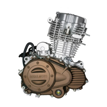 Двигатель ZS167FML 3 CG250 B, Senke 250GY 5  - миниатюра 1
