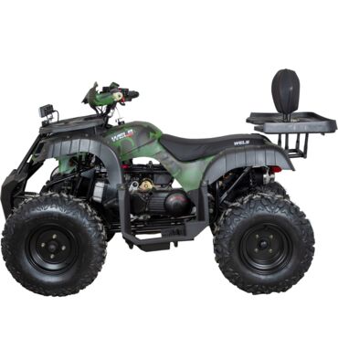 Квадроцикл WELS THUNDER 200cc HS (АХ200) - миниатюра 8