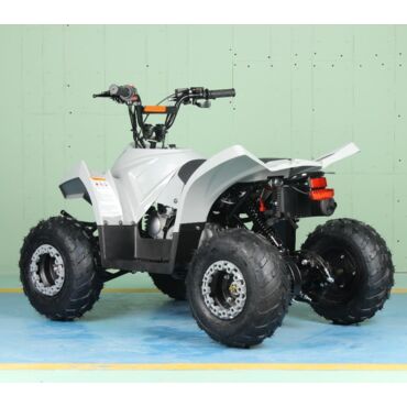 Квадроцикл Regulmoto SK11 - миниатюра 6