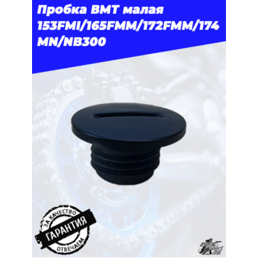 Пробка ВМТ малая 153FMI 165FMM 172FMM 174MN NB300 - миниатюра 2