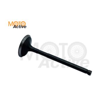 Клапан впускной WELS EVOX200 (263084001001) - миниатюра 2