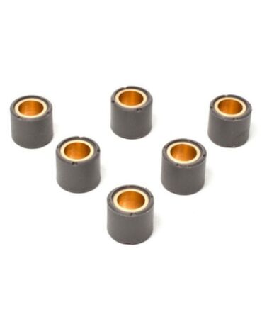 Ролики вариатора (компл. 6шт) 17x12 8,0гр
