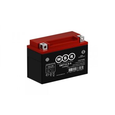 АКБ WBR YTX9 BS (CT DS 1209) 150х87х105 - миниатюра 1