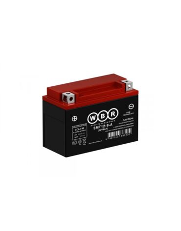 АКБ WBR YTX9 BS (CT DS 1209) 150х87х105